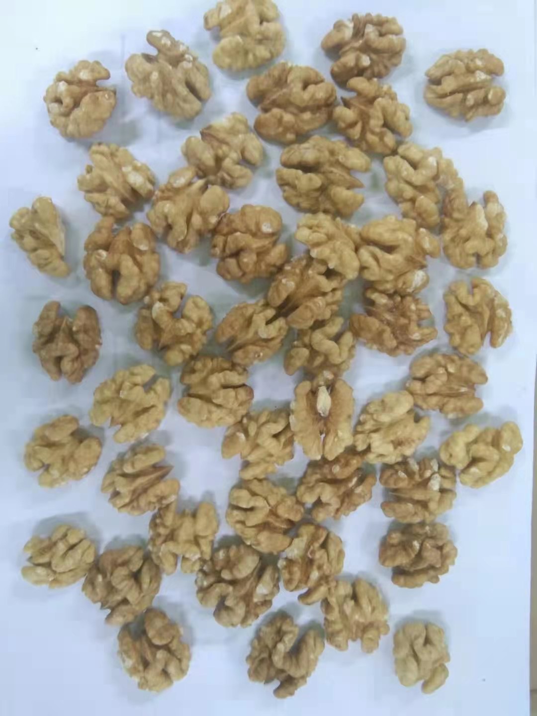 Extra light, Light and Amber colors of Walnuts kernels by Halves, Quarters, Pieces