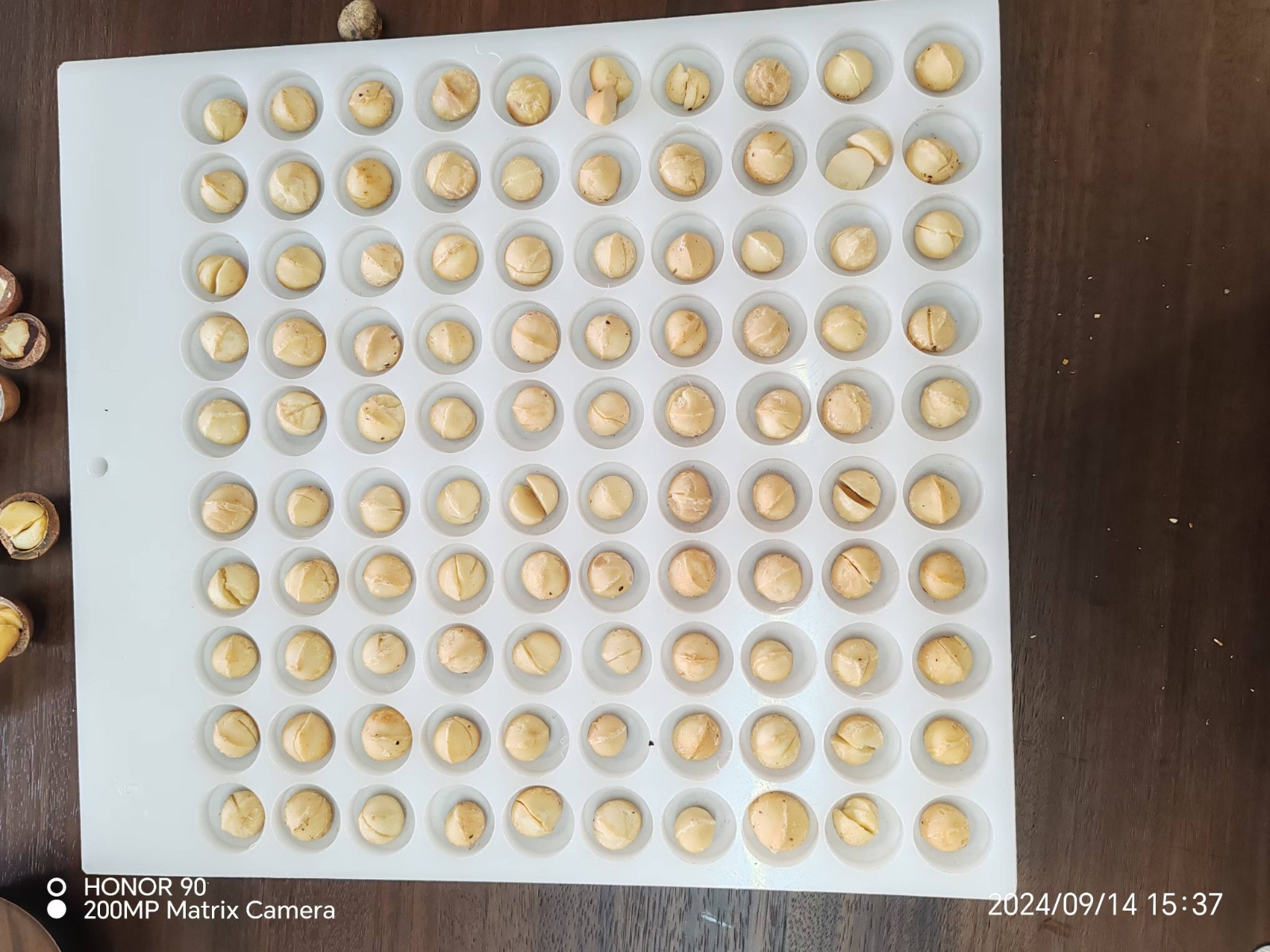 Top quality Organic Raw Macadamia Kernels